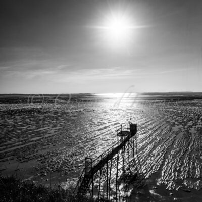 photo noir et blanc carrelet