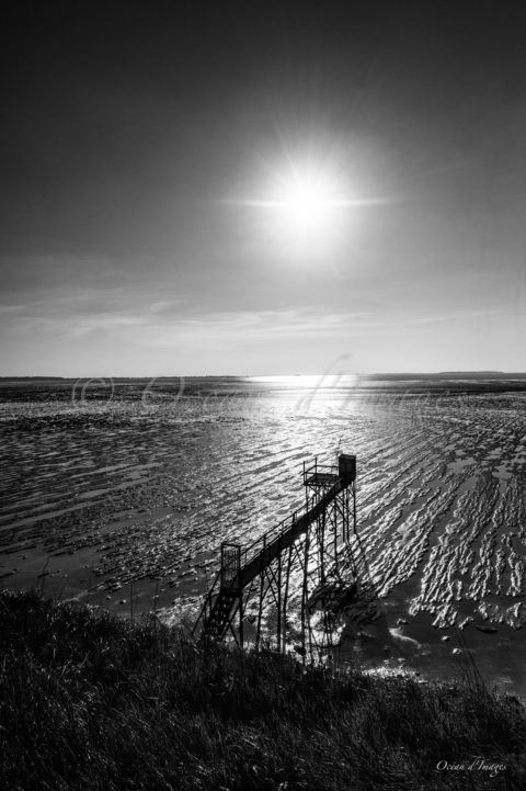 photo noir et blanc carrelet