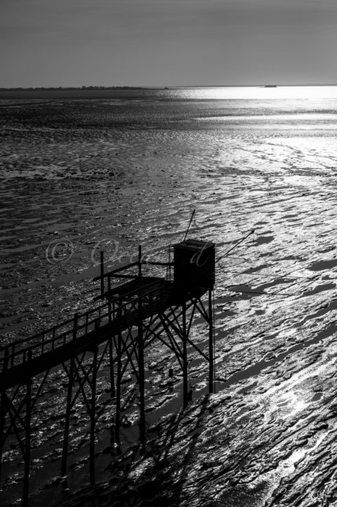 photo noir et blanc carrelet cote atlantique Charente maritime baie d'Yves