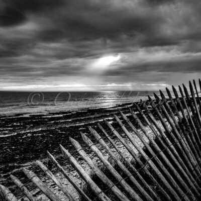 Photo noir et blanc côte atlantique Charente maritime ganivelle