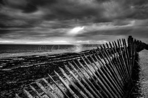 Photo noir et blanc côte atlantique Charente maritime ganivelle