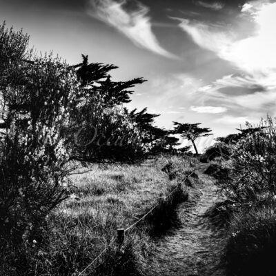 photo noir et blanc pointe du Chay Charente Maritime