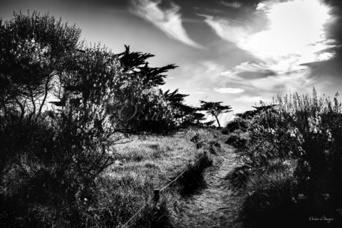 photo noir et blanc pointe du Chay Charente Maritime