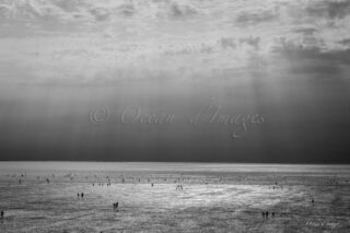 photo noir et blanc plage de Châtelaillon en Charente maritime