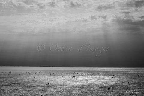 photo noir et blanc plage de Châtelaillon en Charente maritime