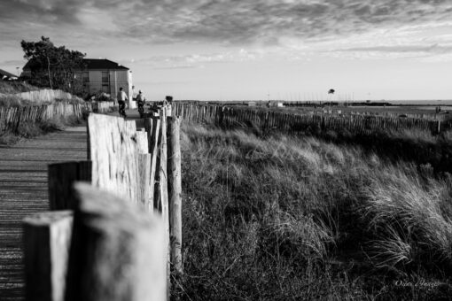 Dunes de Châtelaillon plage photo en noir et blanc