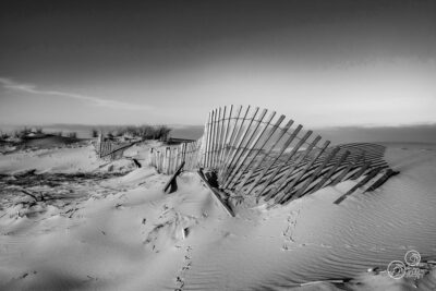 Fragile barrage sur la dune - La Coubre