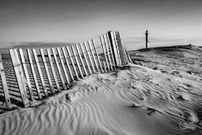 Ganivelles au Phare de La Coubre