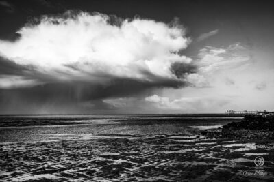 photo en noir et blanc carrelet en Charente-Maritime